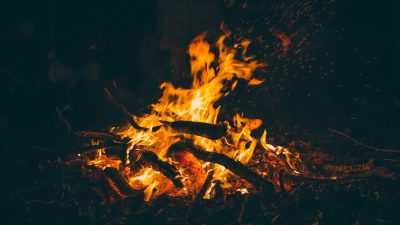 how-to-prepare-firewood-for-winter-fuel-featured