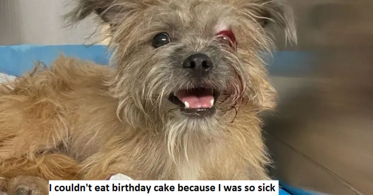 I couldn't eat birthday cake because I was so sick