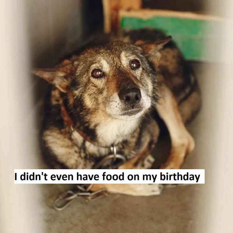 I didn't have food on my birthday