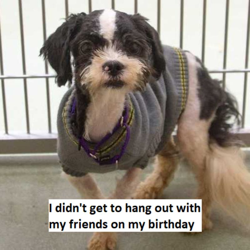 I even didn't get to hang out with my friends on my birthday