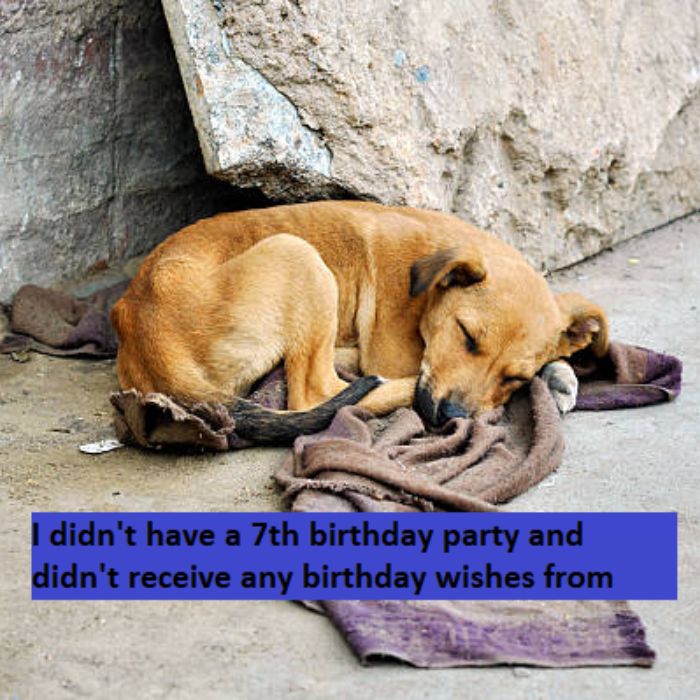 I didn't have a 7th birthday party 