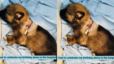 I had to celebrate my birthday alone in the hospital