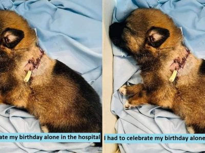 I had to celebrate my birthday alone in the hospital