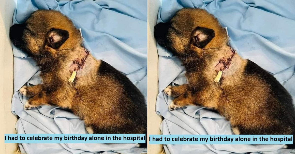 I had to celebrate my birthday alone in the hospital