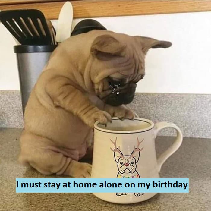 I must stay at home alone on my birthday