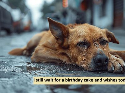 I still wait for a birthday cake and wishes today