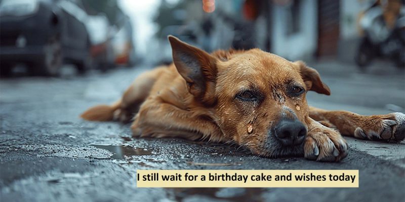 I still wait for a birthday cake and wishes today