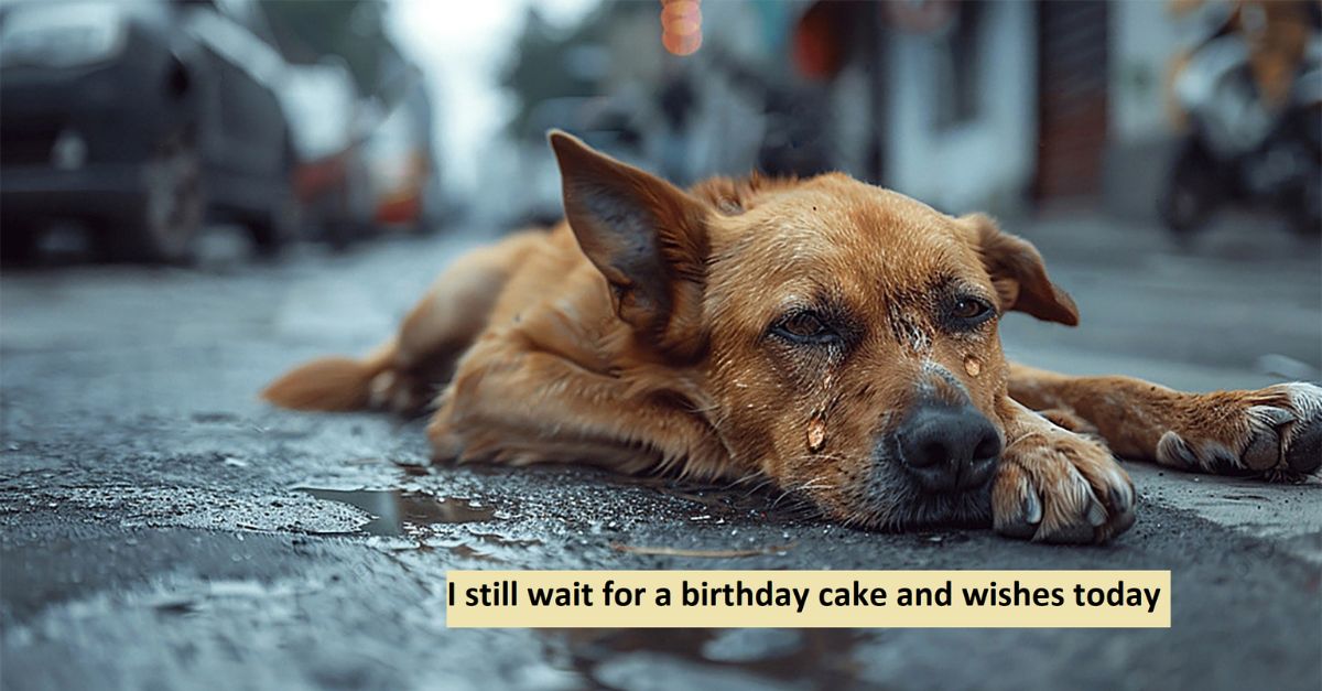 I still wait for a birthday cake and wishes today