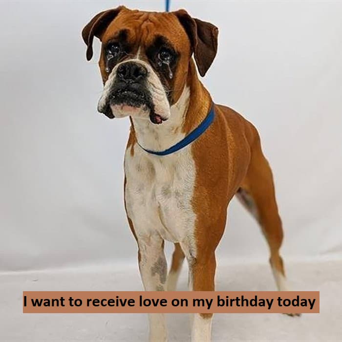 I want to receive love on my birthday