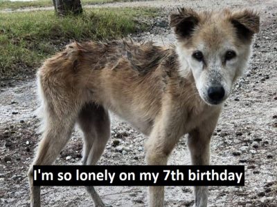 I'm so lonely on my 7th birthday