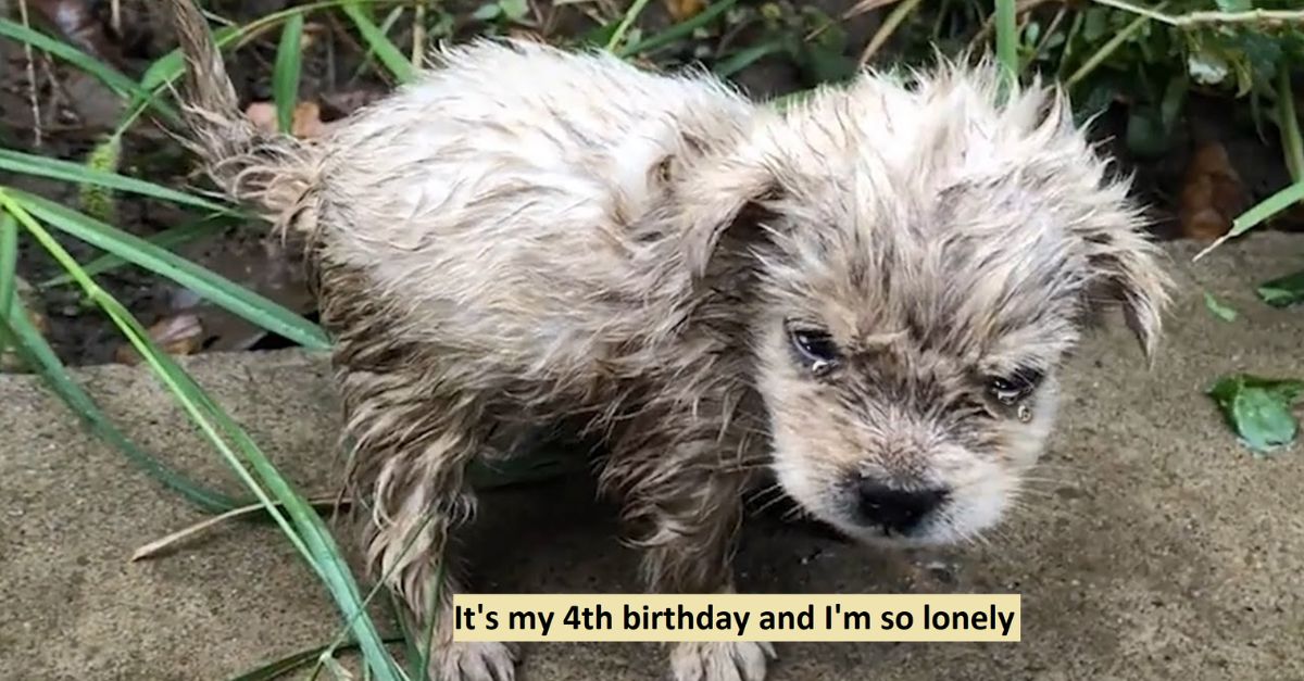 It's my 4th birthday and I'm so lonely