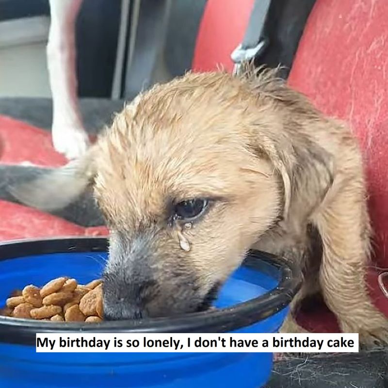 My birthday is so lonely