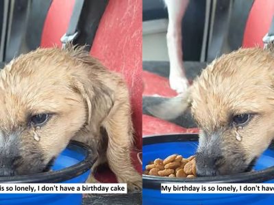 My birthday is so lonely, I don't have a birthday cake