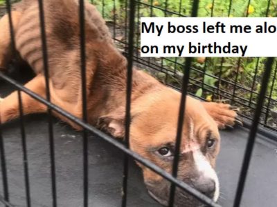 My boss left me alone on my birthday