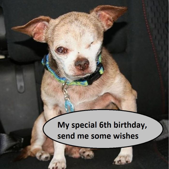 My special 6th birthday