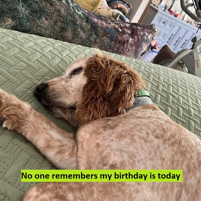 No one remembers my birthday 