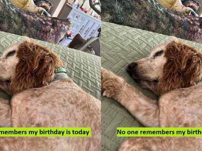 No one remembers my birthday is today