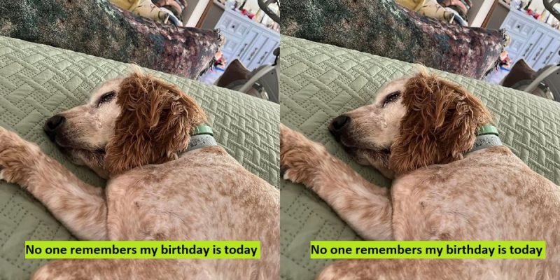 No one remembers my birthday is today