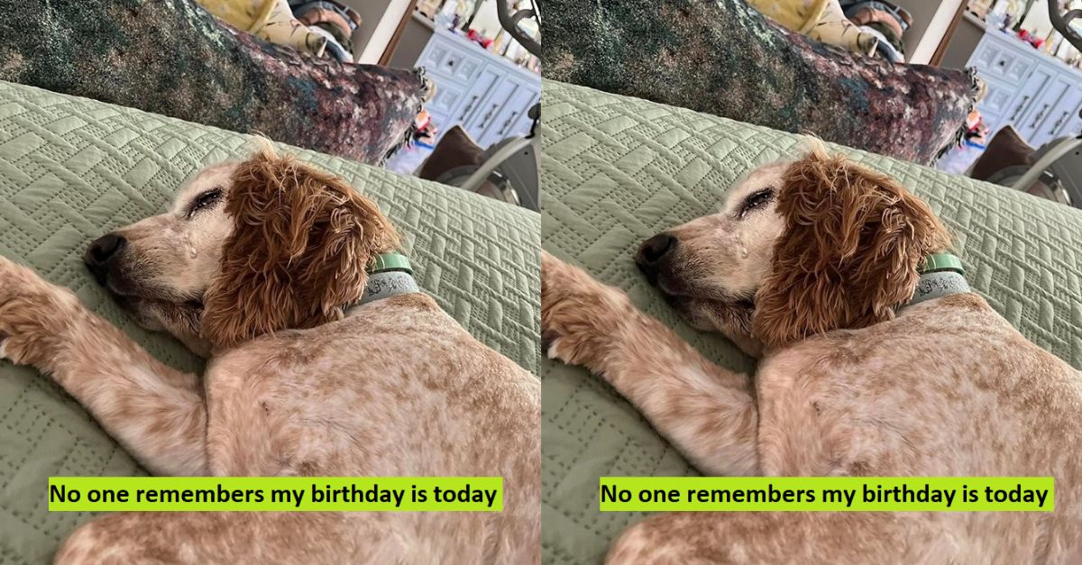 No one remembers my birthday is today