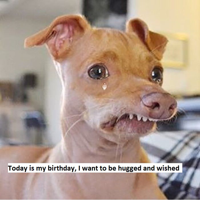 I want to be hugged and wished on my birthday