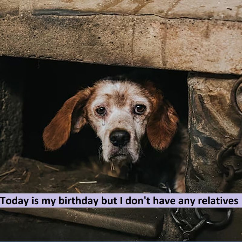 I don't have any relatives on my birthday