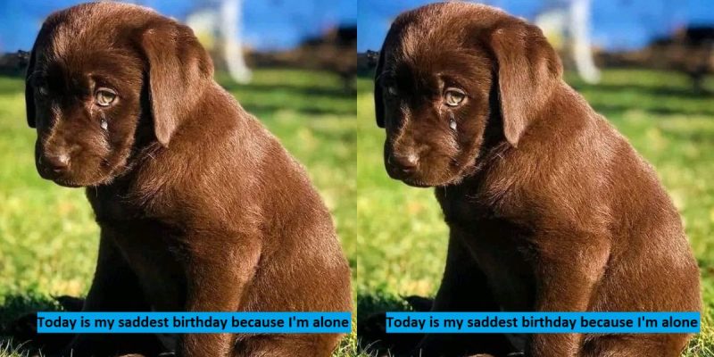 Today is my saddest birthday because I'm alone