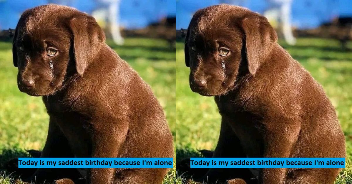 Today is my saddest birthday because I'm alone