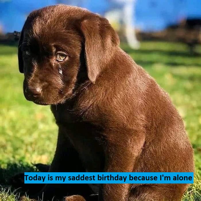 Today is my saddest birthday 